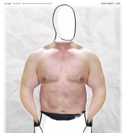 Torso
