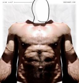 Torso