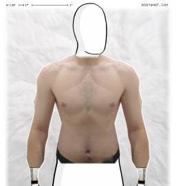 Torso