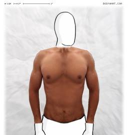 Torso