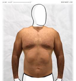 Torso
