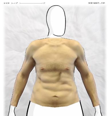 Muscle Morphing