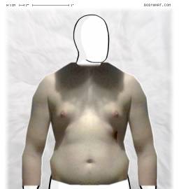 Torso