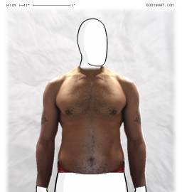Torso