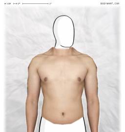 Torso