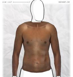Torso