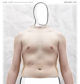 Torso