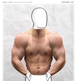 Torso