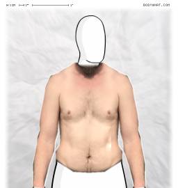 Torso
