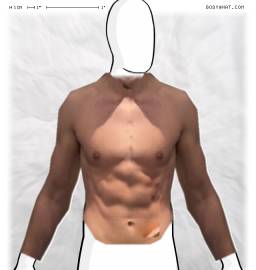 Torso