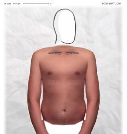 Torso