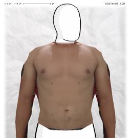 Torso