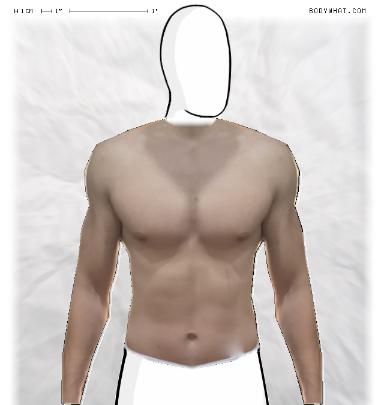 Muscle Morphing