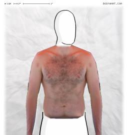 Torso