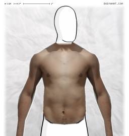 Torso