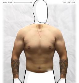 Torso