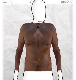 Torso