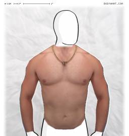 Torso