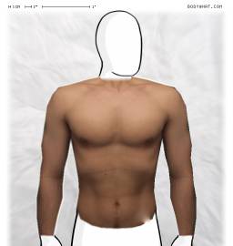 Torso