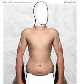 Torso