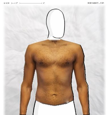 Muscle Morphing