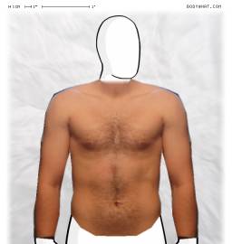 Torso