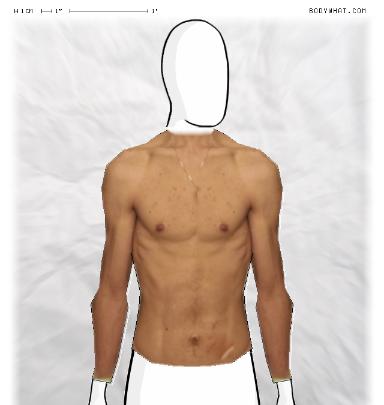 Muscle Morphing
