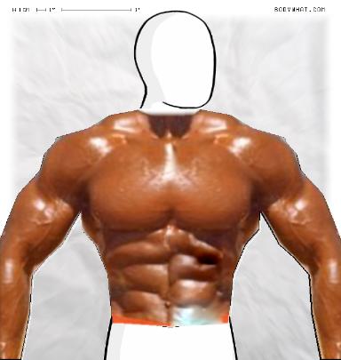 Muscle Morphing