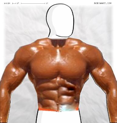 Slim Morphing