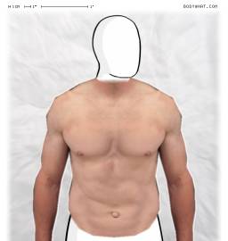 Torso