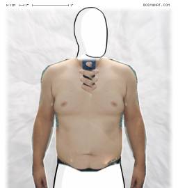 Torso