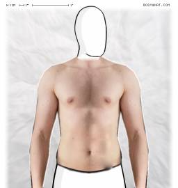 Torso