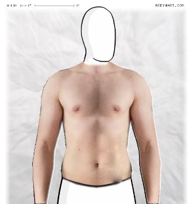 Muscle Morphing