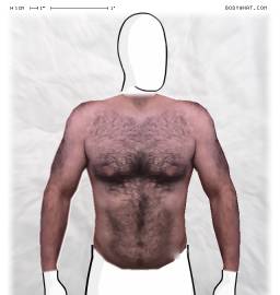Torso