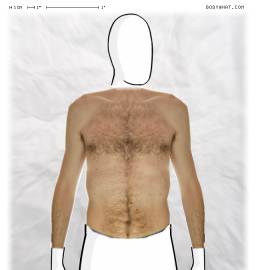 Torso