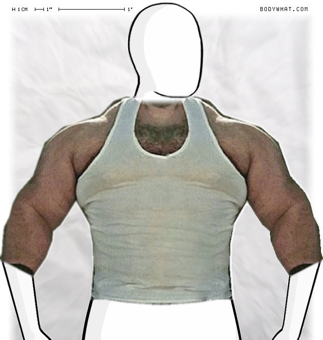 Picture 1