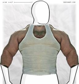 Torso