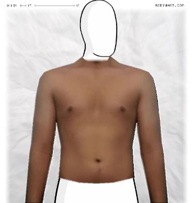 Muscle Morphing