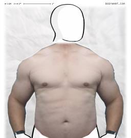 Torso