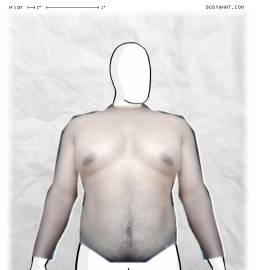 Torso