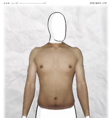 Muscle Morphing