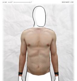 Torso