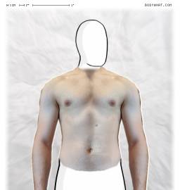 Torso