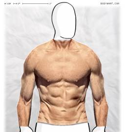 Torso