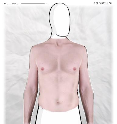 Muscle Morphing