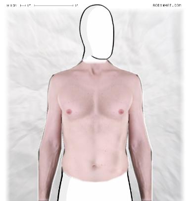 Slim Morphing