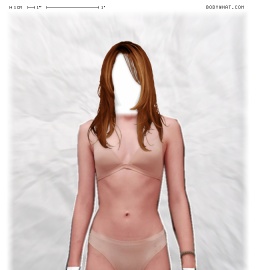 Torso