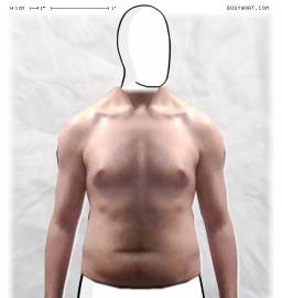 Torso
