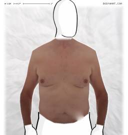 Torso
