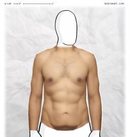 Torso